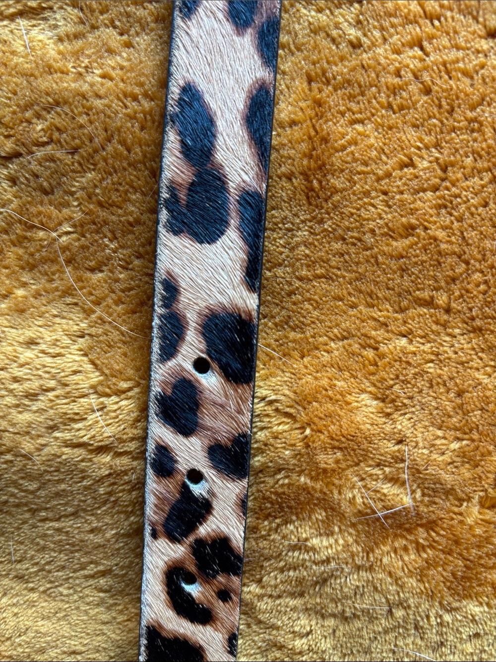 J. Crew Factory Leopard Print Leather Belt with Gold Buckle - Picture 9 of 10